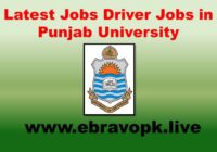 Driver Jobs in Punjab University