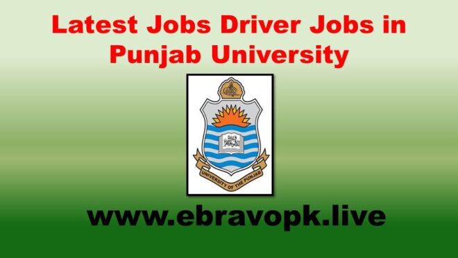 Driver Jobs in Punjab University